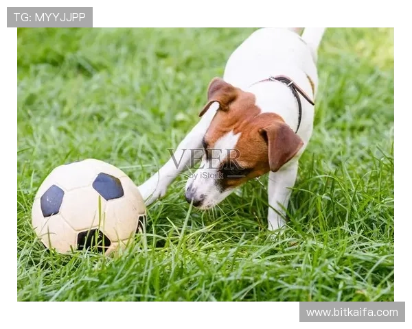 凯发足球官网，带您体验前所未有的足球竞技乐趣