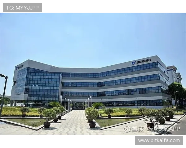 凯发集团股份有限公司官网：投资者关系与财务信息详细披露