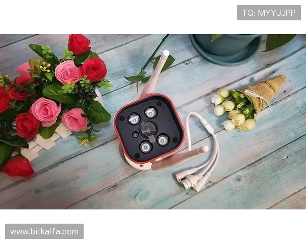 体验凯发手机客户端最新版，畅享高清画质和稳定连接