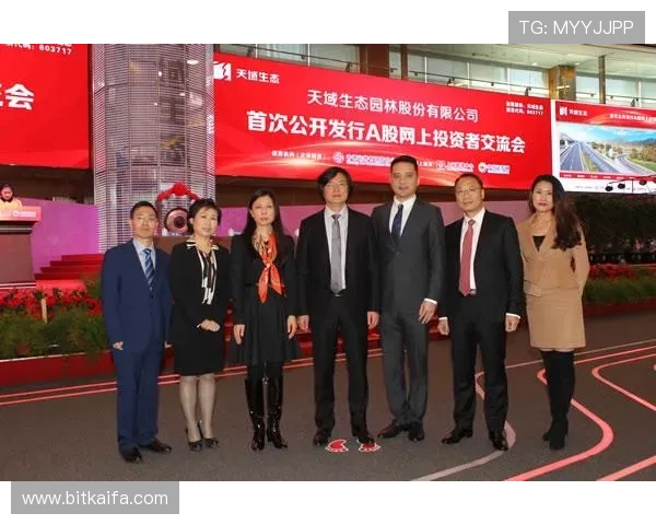 凯发集团简介资料涵盖公司财务状况与投资者关系信息