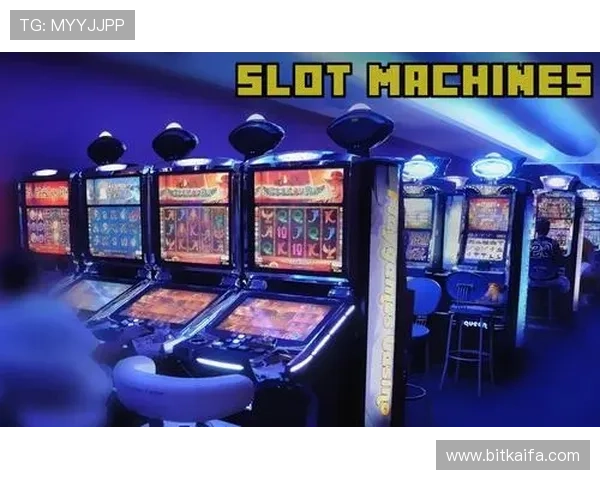 飞禽走兽经典玩法全攻略带你掌握游戏技巧轻松赢取高额奖金提升游戏体验