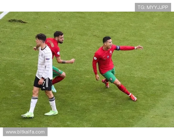 凯发沙巴体育赛事直播与投注技巧,提升你的竞技体验与盈利能力