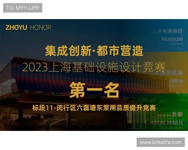 K8凯发网页版登录新手指南，详细介绍登录流程及常见问题解决技巧帮助新玩家快速上手